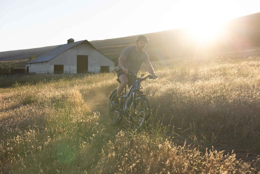 LCD touchscreen and app connectivity interface on a 26 inch step over electric mountain bike blue color