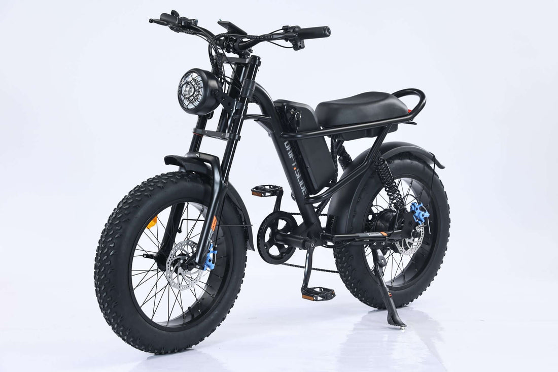 GaoBai EMB009 affordable 20 inch fat tire mountain ebike under 800 off-road performance