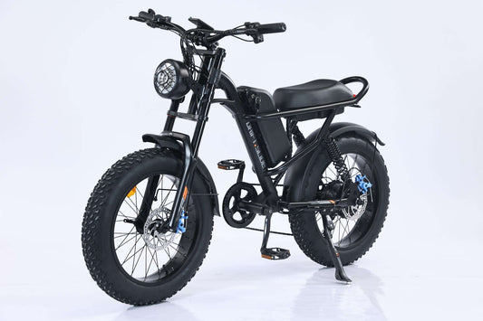 GaoBai EMB009 affordable 20 inch fat tire mountain ebike under 800 off-road performance