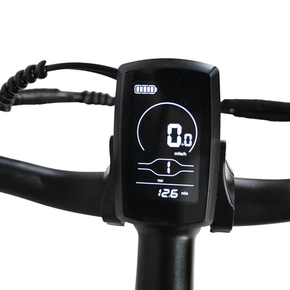 48V 12AH fat tire mountain bike with Shimano 8 speed panel