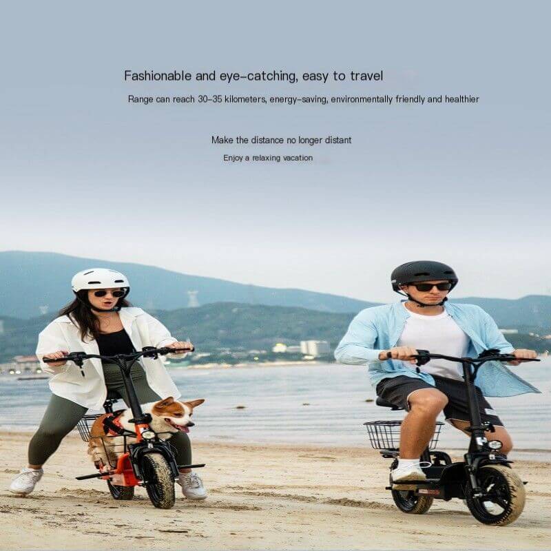 Hezzo T3 family friendly fat tire electric cargo bike for all ages 