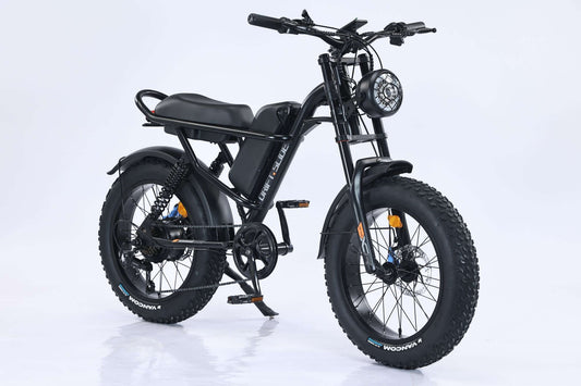 Profile of the GaoBai affordable 20 inch fat tire mountain ebike under 900 showing the aluminum frame.